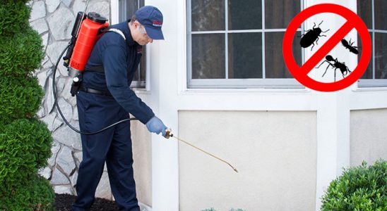Mavişehir Tahtakurusu İlaçlama böcek ilaçlama ve haşere kontrolü — ilaclama-tr.com